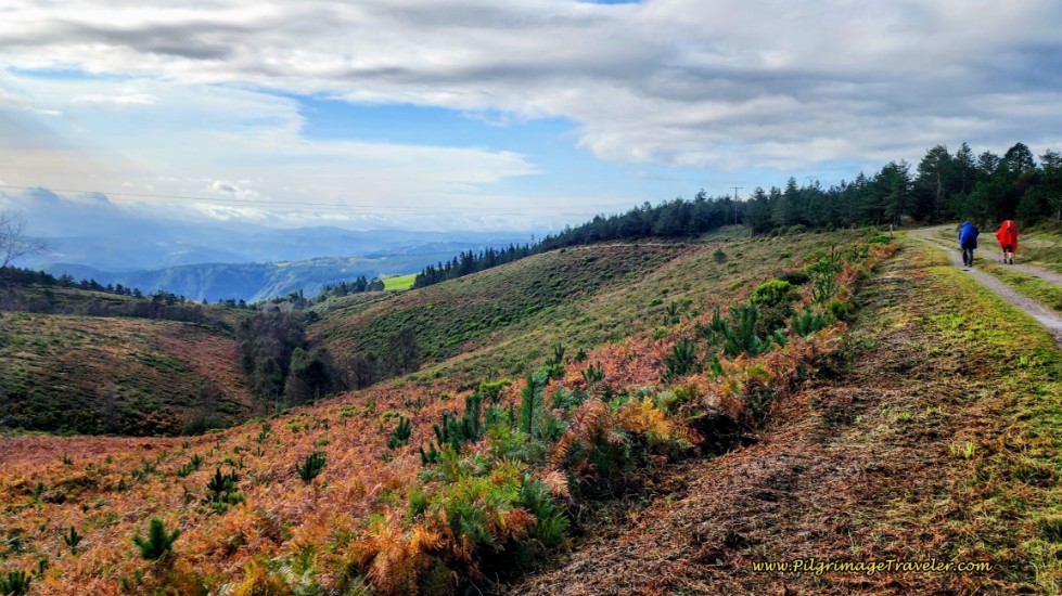 The High Lane with Views