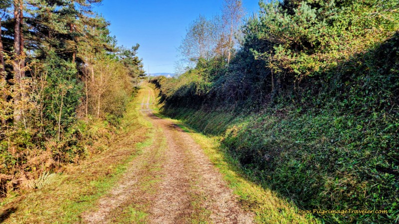 The Lane From Cabreira to Fonfría