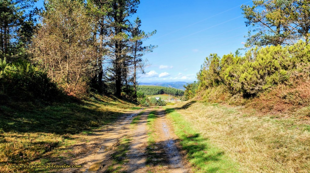 The Lane From Fonfría to Barbeitos