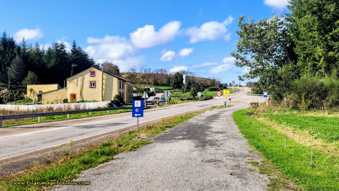 Cross the Highway at Bus Stop