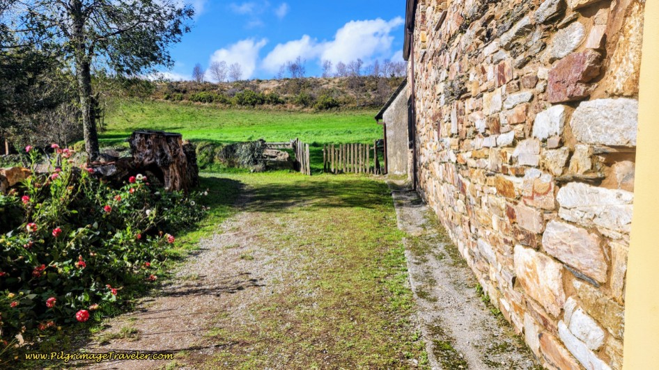 Around the Back of the Farm