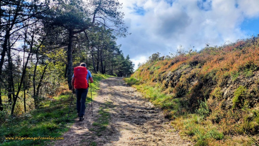 The Climb Up From Silvela