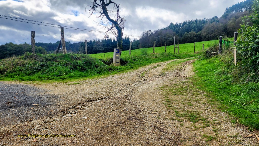 Right Turn and Up the Hill