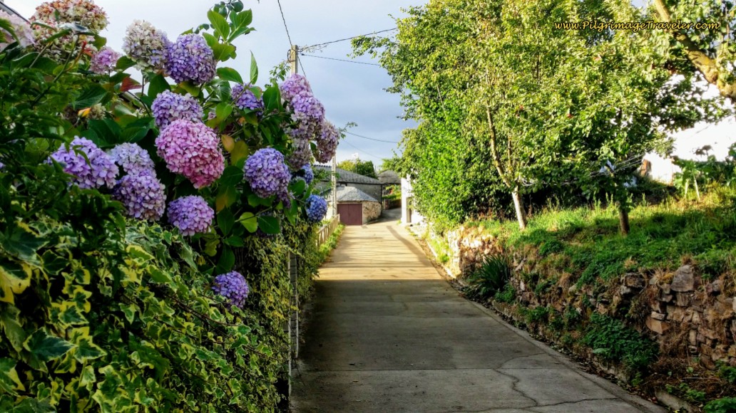 Camino Primitivo - Day 7: Castro to A Fonsagrada, 20.2 Km (12.55 Miles)