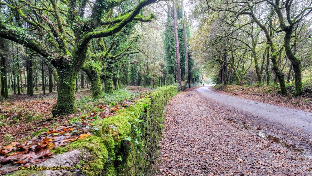Finishing the Climb from Vilamaior