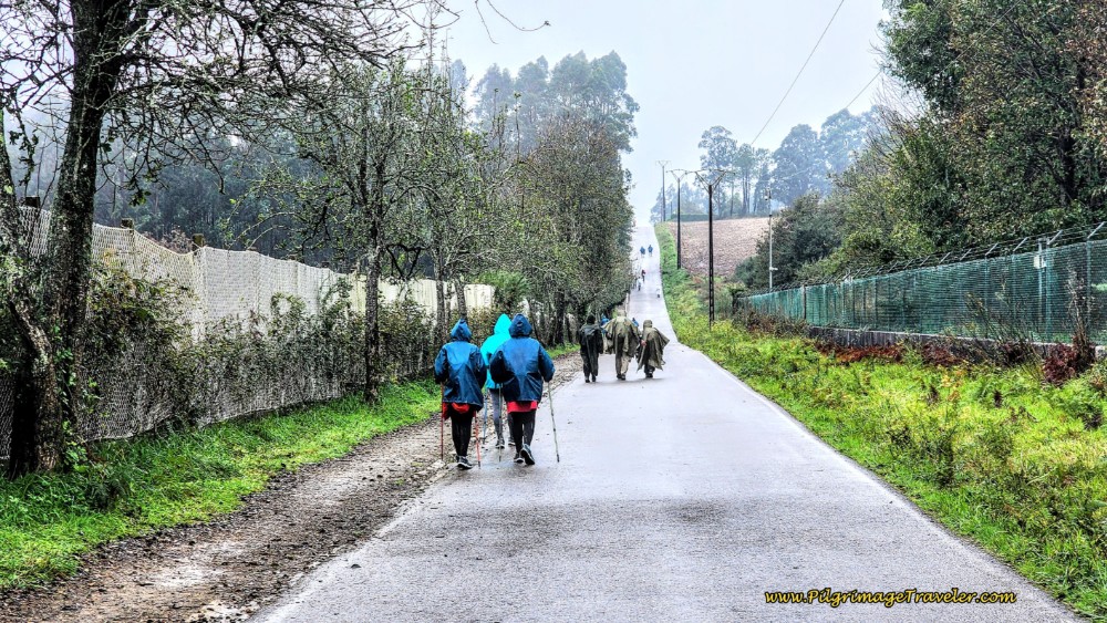 Pilgrims Along the Calle Lagoa