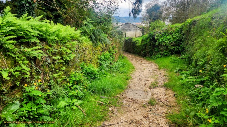 Rúa do Carme Becomes a Footpath