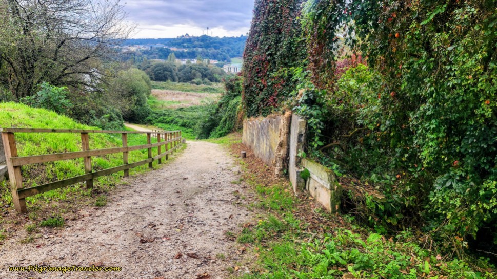 Path After Crossing the Ronda do Carme