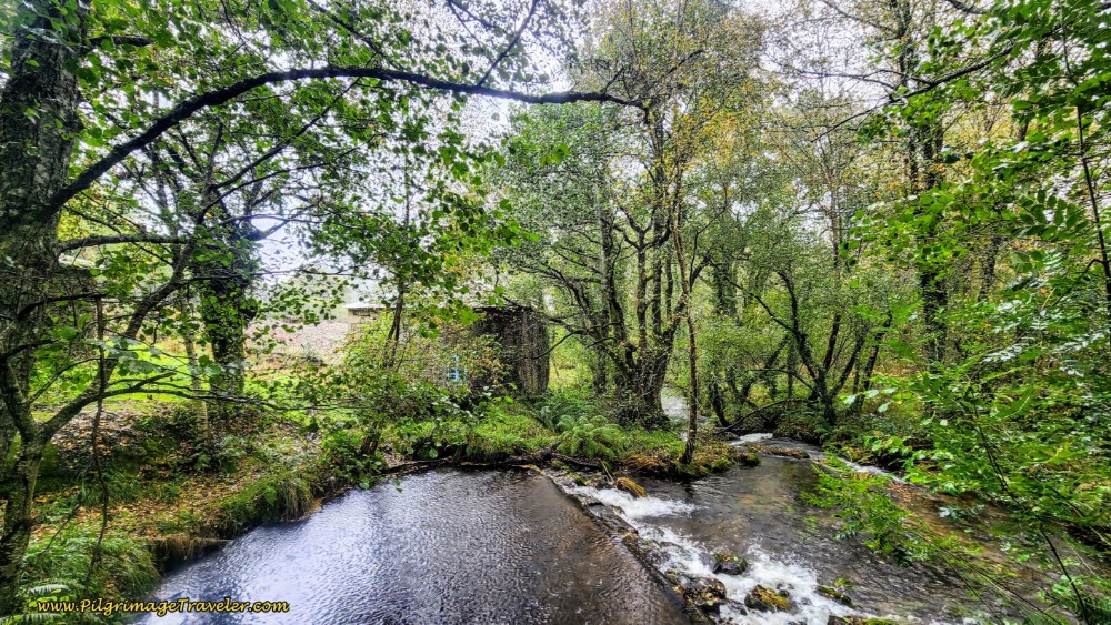 Cross Creek with Historic Mill