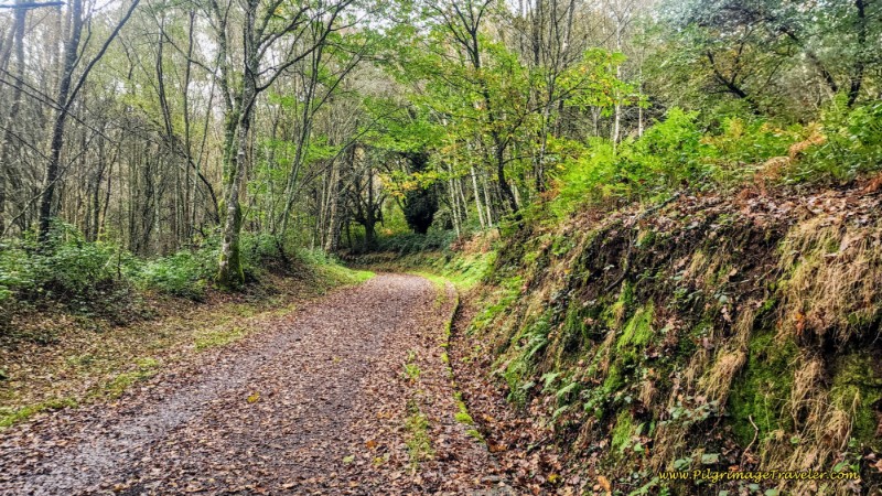 After San Román Turns Into Country Lane