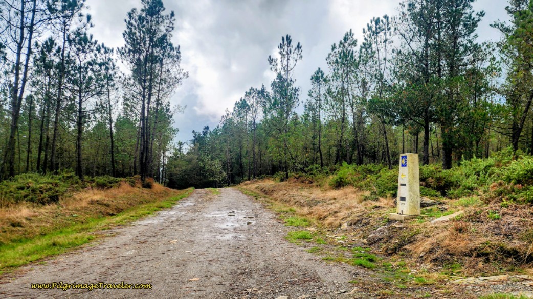 Top of Climb Towards O Burgo de Negral