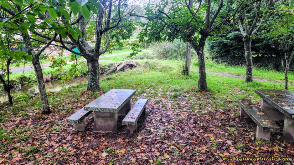Inviting Picnic Grove in Ponte Ferreira