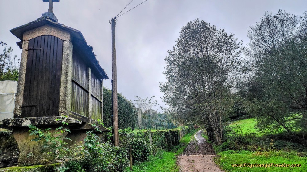 Turn Right in Ferreira Here at the Hórreo