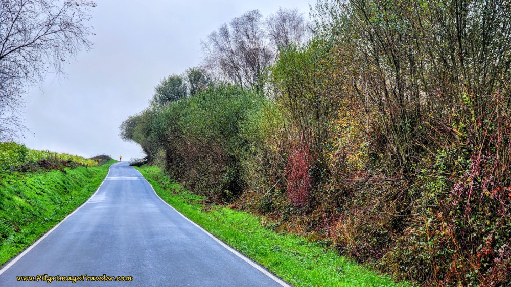 Top of This Hill Turn Left