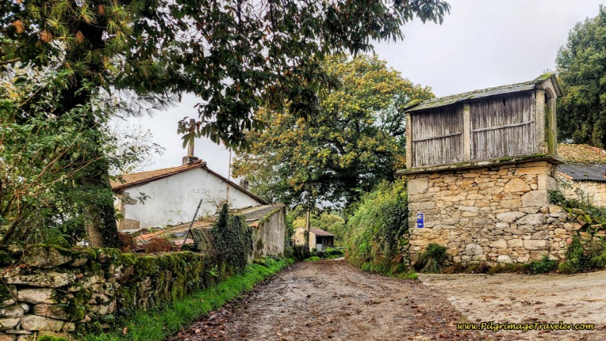 Walking Into As Seixas 