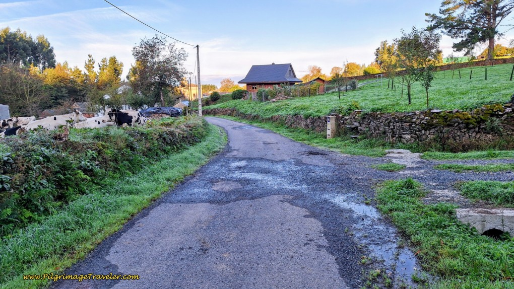 Vilabade Appears Ahead