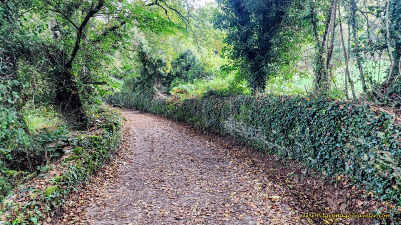 Getting Close to Vilalle