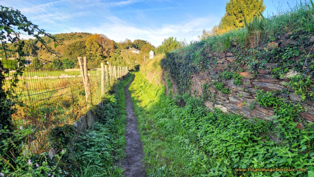 Shortcut Lane Through Castroverde