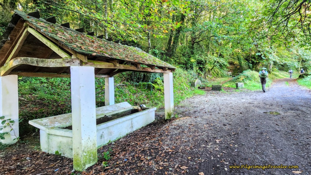 Picnic Area and Fountain on the Outskirts of Castroverde