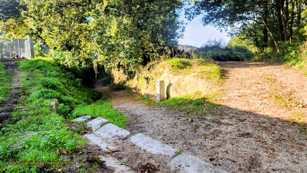 Stay Left at Y-Intersection