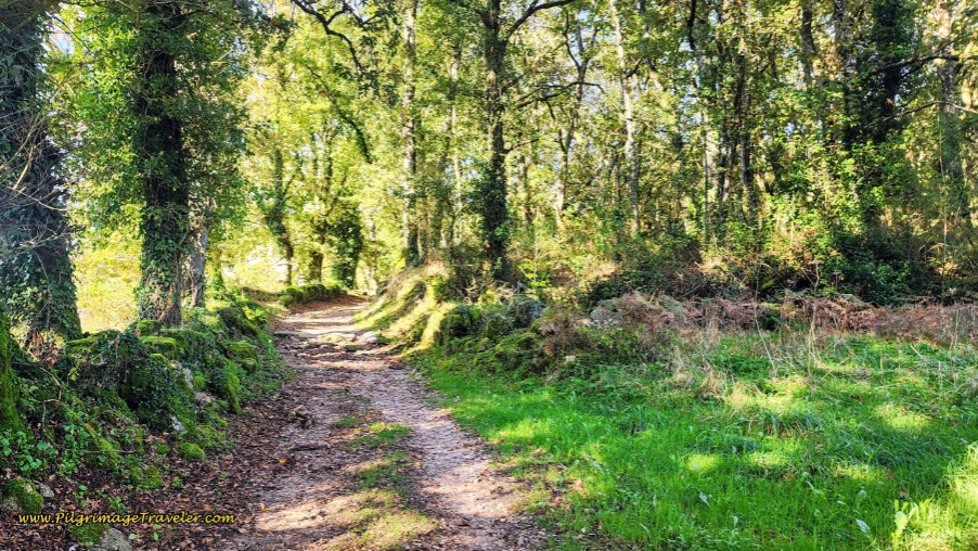 Lovely Walking on More Country Lanes