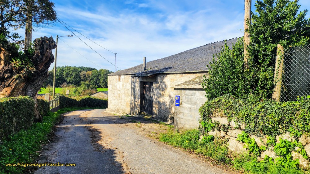Waymark Through the Hamlet of Nadela