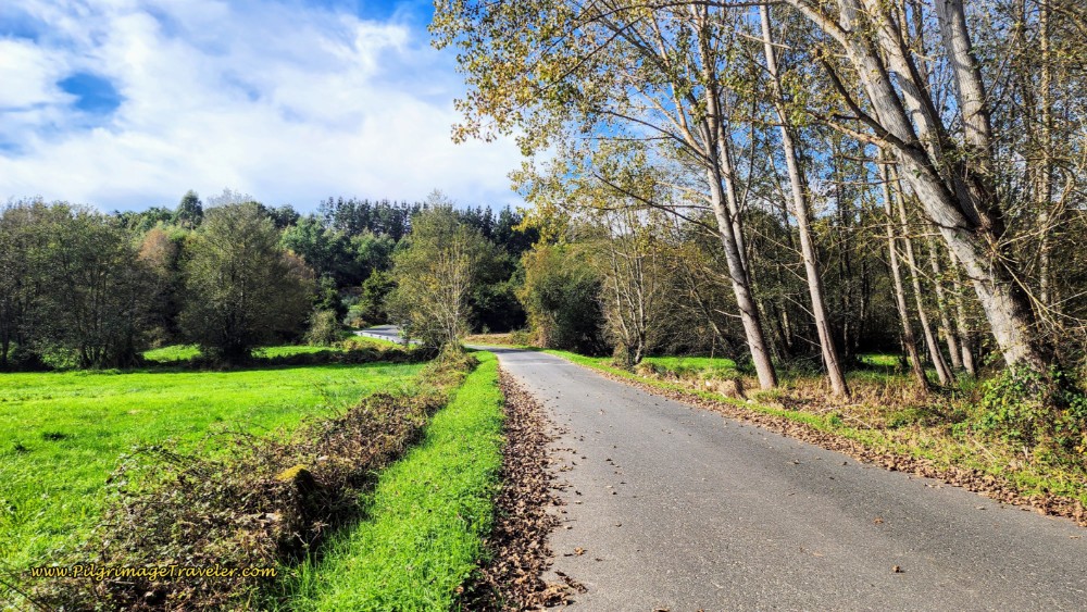 LU-P-2917 Towards Bascuas