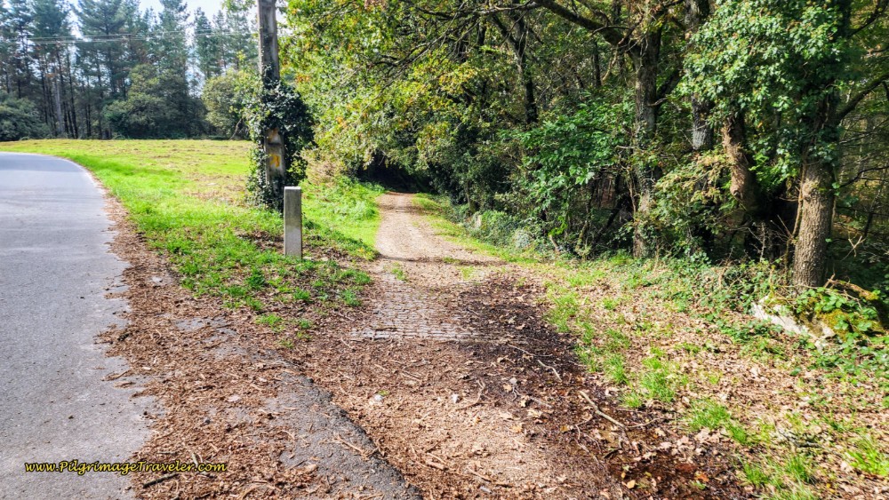 Leave the LU-P-2917 for Trail