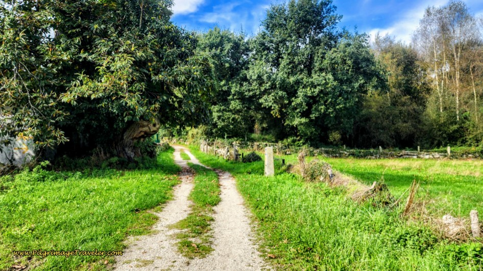 Right Turn Onto Country Lane