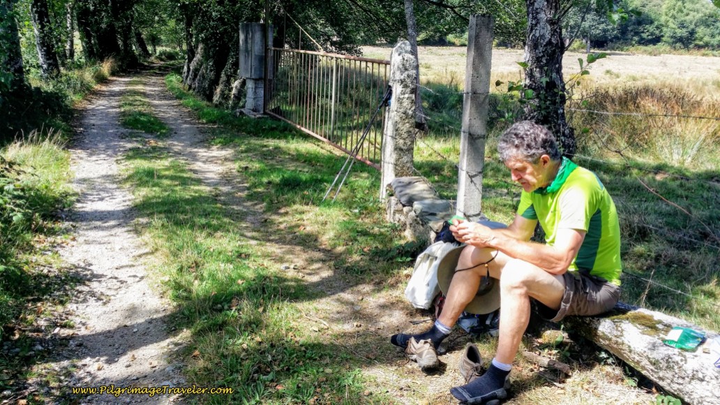 Lunch and Foot Break