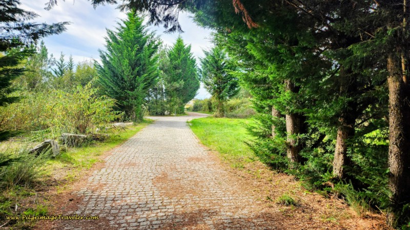 Towards “Civilization”