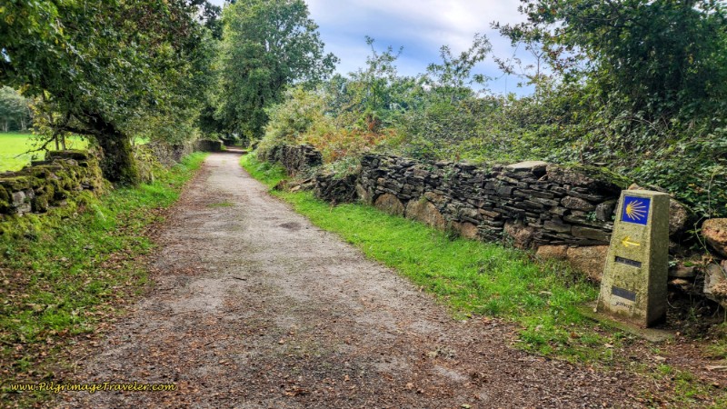 Wall-lined Road, Pass the 101.9 Km Waymark