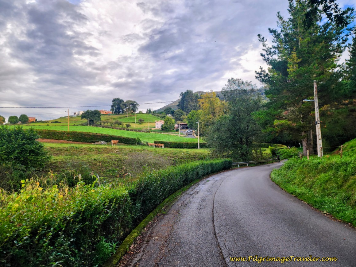 Hairpin Turn in the Country Road