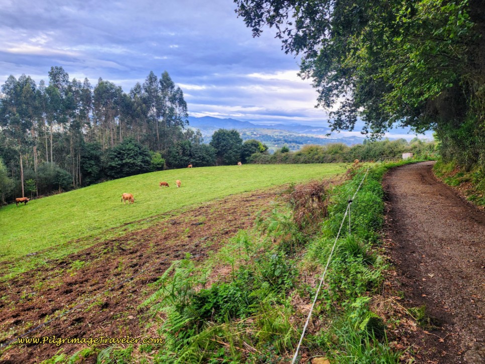 The Lane Turns to Dirt
