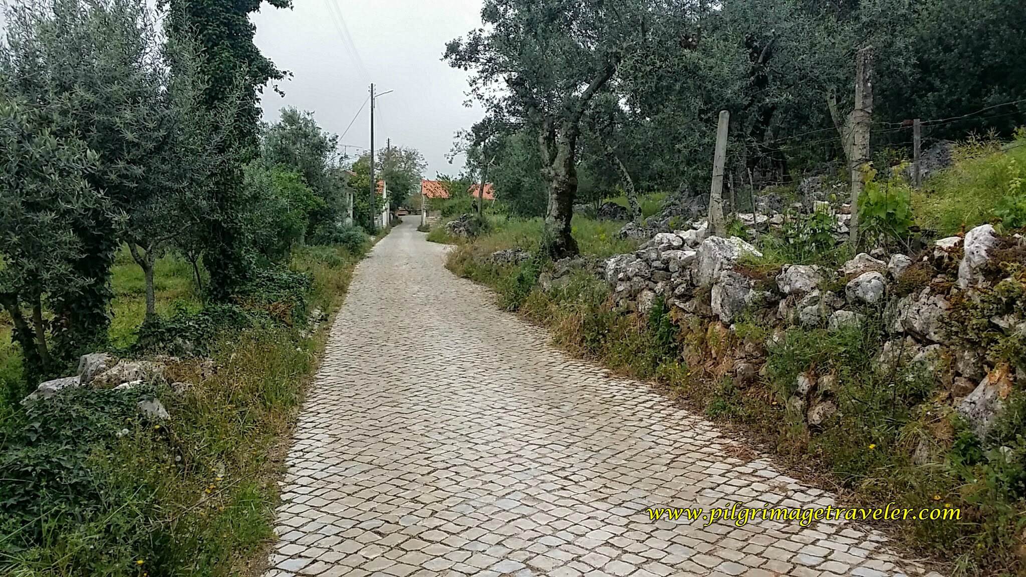 Cobblestone Country Road, along the Camino Portugués