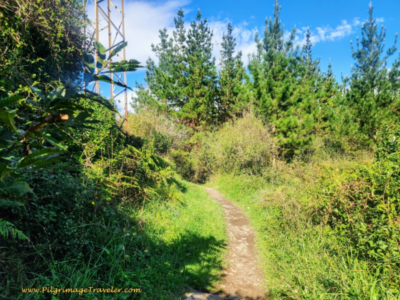 Top of Second Climb at Power Tower