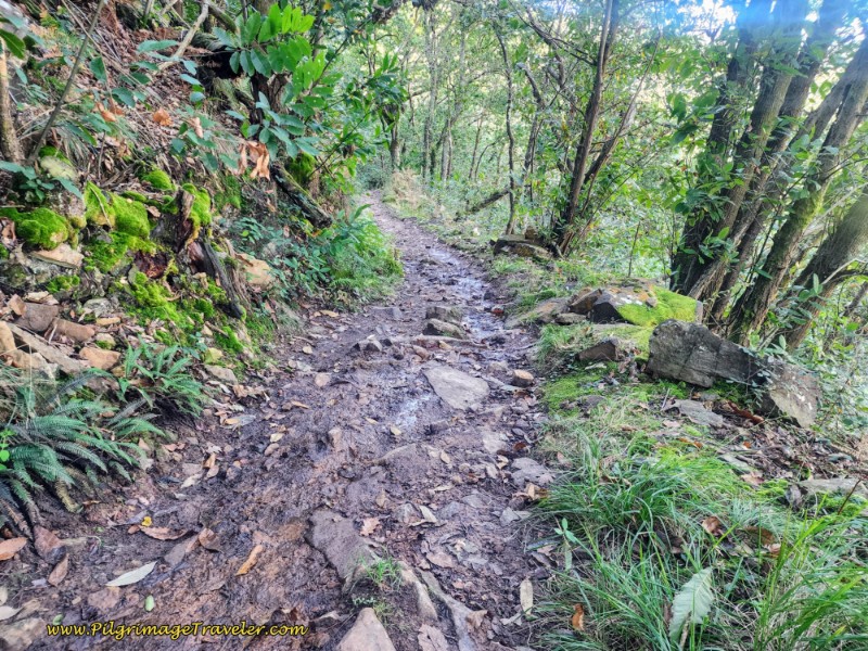 Roman Road Continues