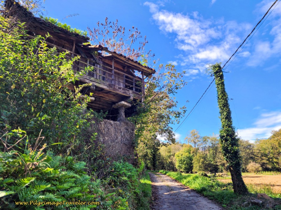 Ruined Raised Hórreo Along the Lane