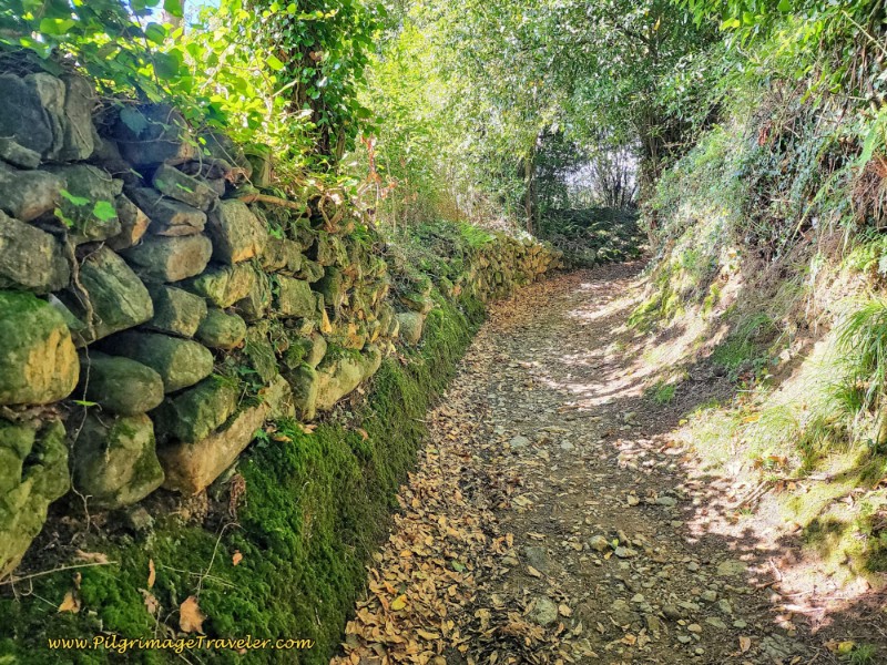 Dirt Track Toward Salas