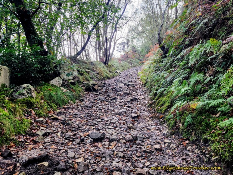 Final Steep Ascent Towards National Highway