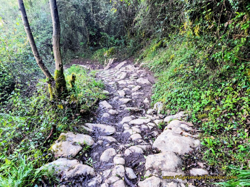 Preserved Old Roman Road