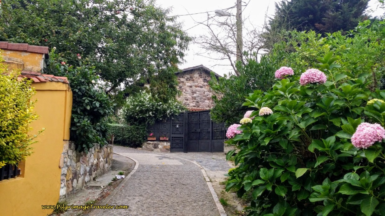 Lovely Lane and Homestead