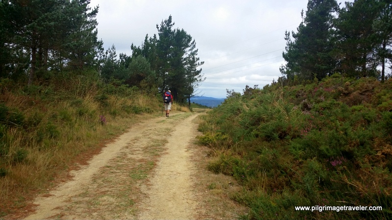 Long Pilgrim Road on the Camino Primitivo, Spain