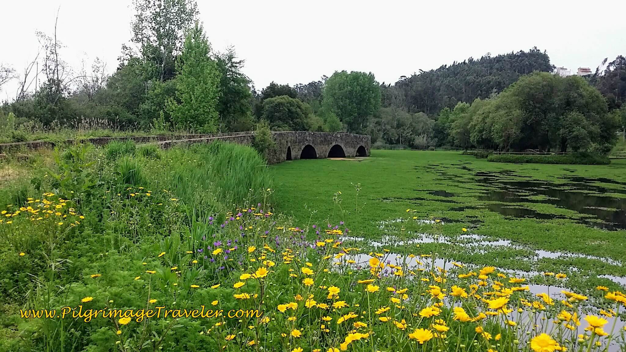 Old Roman Bridge, North of Agueda, Portugal along the Camino Portugués