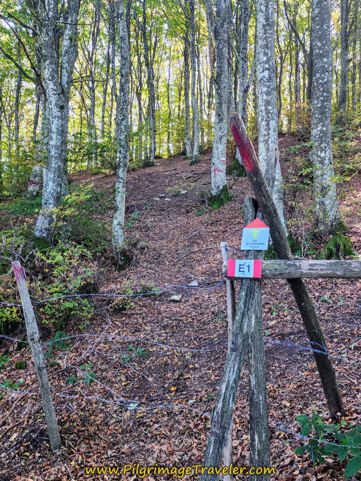 Small Tau Waymark Sign